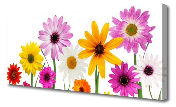 Tablou pe panza canvas Flori Floral Multi