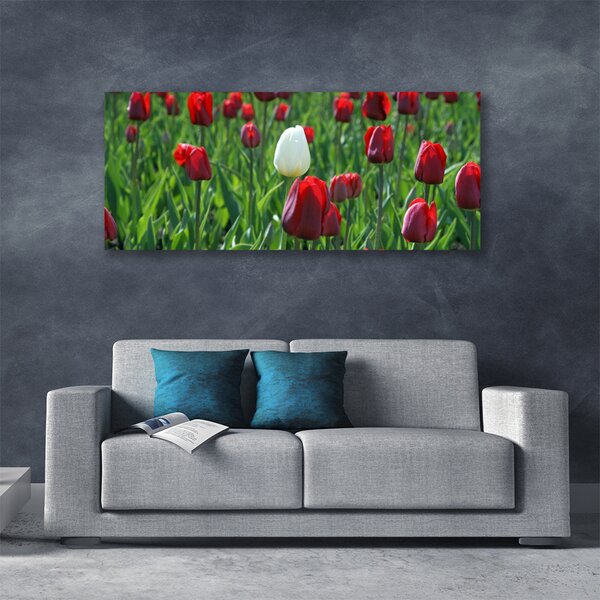 Tablou pe panza canvas Lalele Floral Roșu Alb Verde