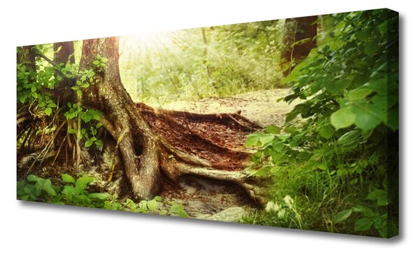 Tablou pe panza canvas Trunchi de copac Natura Brun Verde