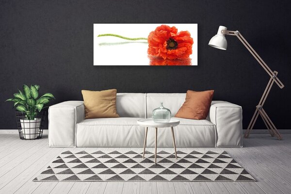Tablou pe panza canvas Florale flori Roșu