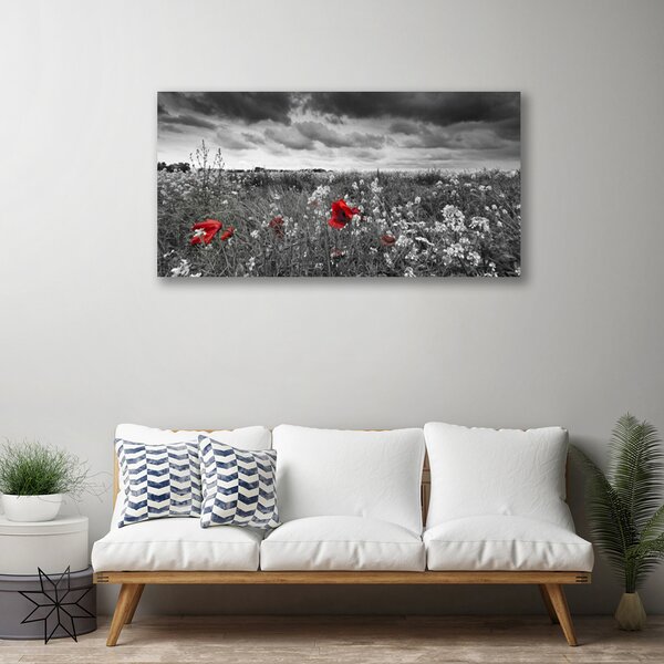 Tablou pe panza canvas Flori Meadow Natura Gri Roșu