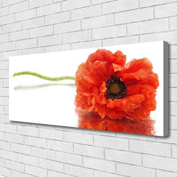 Tablou pe panza canvas Florale flori Roșu