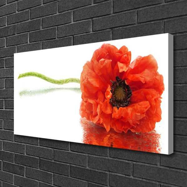 Tablou pe panza canvas Florale flori Roșu