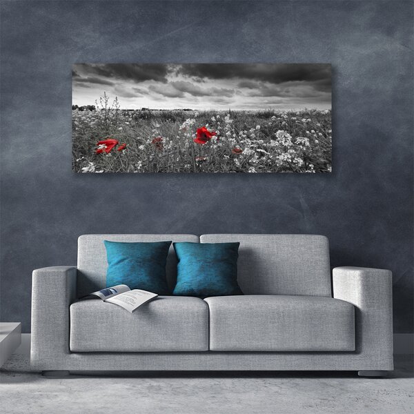Tablou pe panza canvas Flori Meadow Natura Gri Roșu