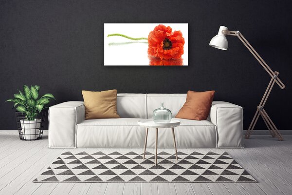 Tablou pe panza canvas Florale flori Roșu