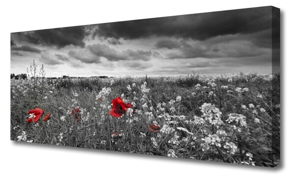 Tablou pe panza canvas Flori Meadow Natura Gri Roșu