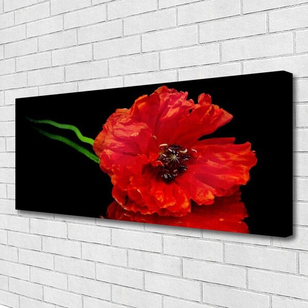 Tablou pe panza canvas Florale flori Roșu