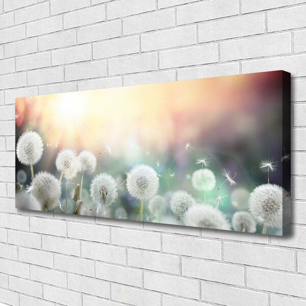 Tablou pe panza canvas Păpădie Floral Alb Gri