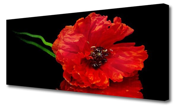 Tablou pe panza canvas Florale flori Roșu