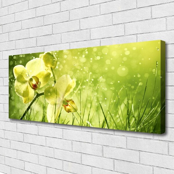 Tablou pe panza canvas Iarbă Flori Floral Verde