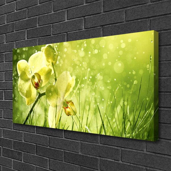 Tablou pe panza canvas Iarbă Flori Floral Verde