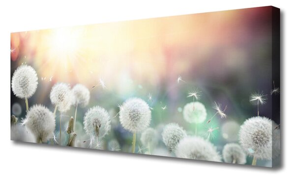 Tablou pe panza canvas Păpădie Floral Alb Gri