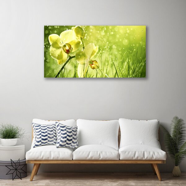 Tablou pe panza canvas Iarbă Flori Floral Verde
