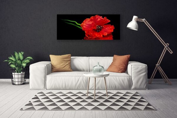 Tablou pe panza canvas Florale flori Roșu