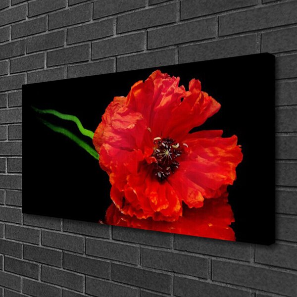 Tablou pe panza canvas Florale flori Roșu
