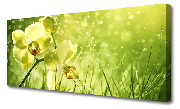 Tablou pe panza canvas Iarbă Flori Floral Verde