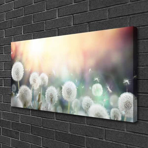 Tablou pe panza canvas Păpădie Floral Alb Gri