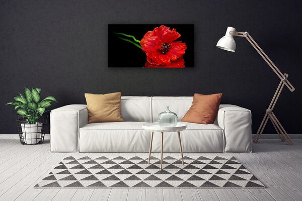 Tablou pe panza canvas Florale flori Roșu