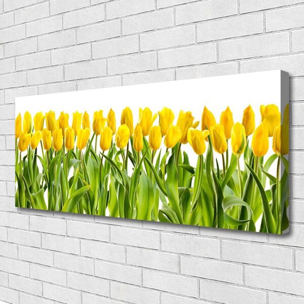 Tablou pe panza canvas Lalele Floral Galben Verde