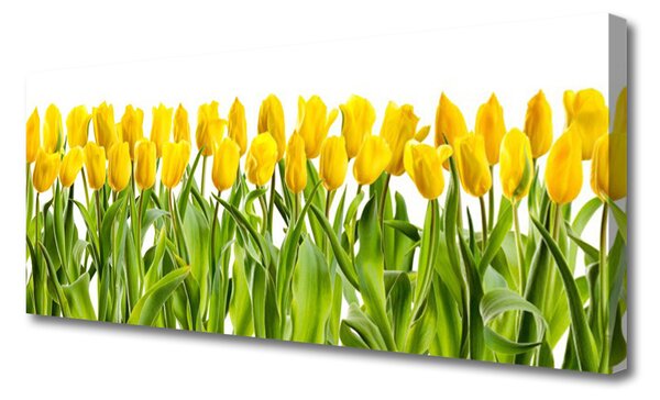 Tablou pe panza canvas Lalele Floral Galben Verde