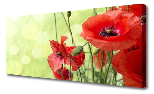 Tablou pe panza canvas Maci Floral Verde Roșu