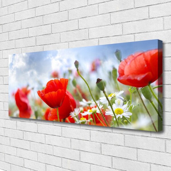 Tablou pe panza canvas Maci Margarete Floral Roșu Galben Alb