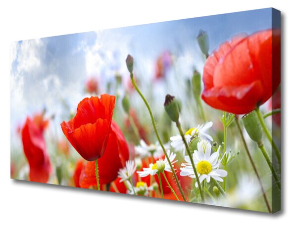 Tablou pe panza canvas Maci Margarete Floral Roșu Galben Alb