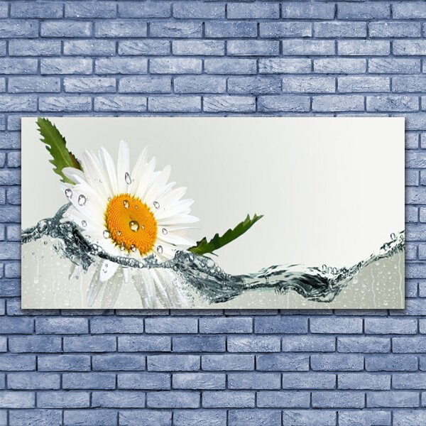 Tablou pe sticla Daisy Art Apă Galben Alb Albastru