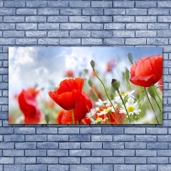 Tablou pe panza canvas Maci Margarete Floral Roșu Galben Alb