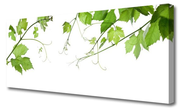 Tablou pe panza canvas Sucursale Frunze Floral verde maro