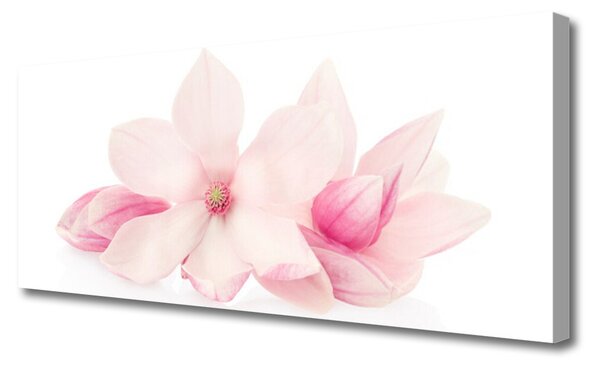 Tablou pe panza canvas Flori roz Floral
