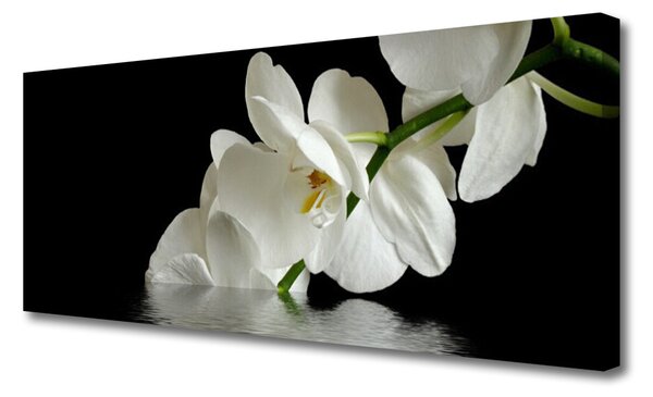 Tablou pe panza canvas Flori Floral alb