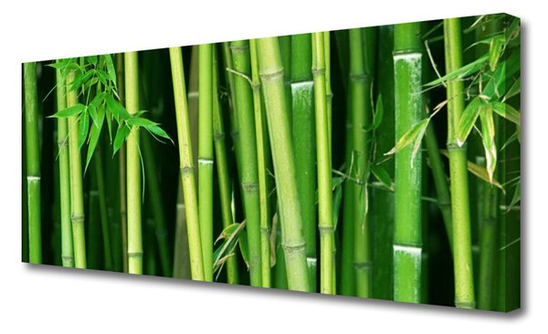 Tablou pe panza canvas Bamboo Tulpini Floral Verde