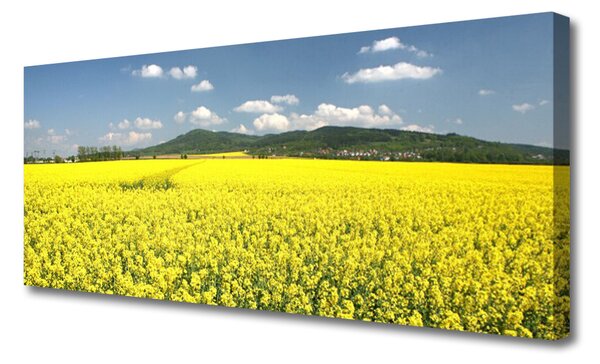 Tablou pe panza canvas Meadow Natura Galben