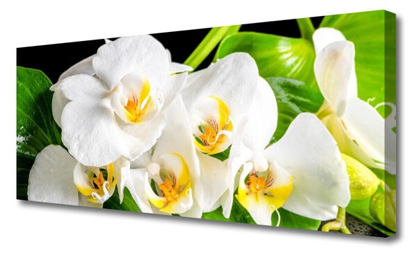 Tablou pe panza canvas Petale Floral Alb Verde