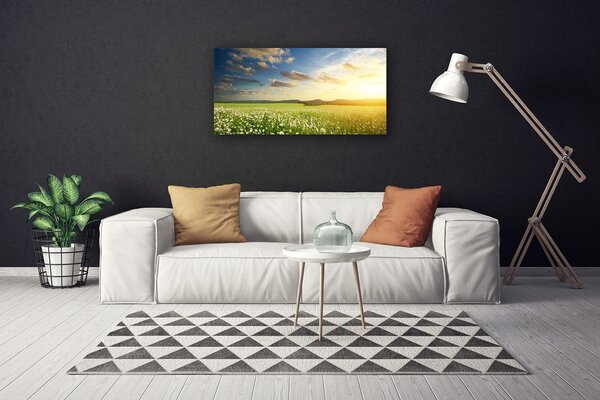 Tablou pe panza canvas Meadow Flori Peisaj Verde Alb