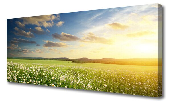 Tablou pe panza canvas Meadow Flori Peisaj Verde Alb