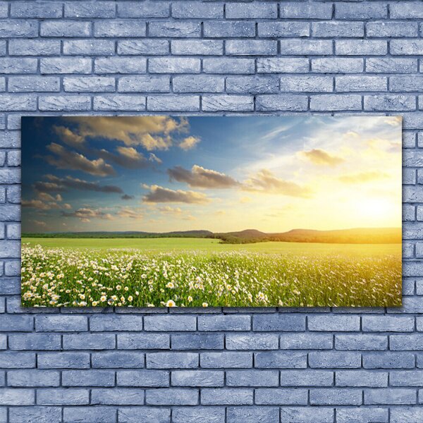 Tablou pe panza canvas Meadow Flori Peisaj Verde Alb