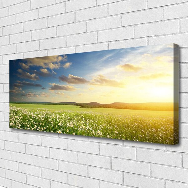 Tablou pe panza canvas Meadow Flori Peisaj Verde Alb