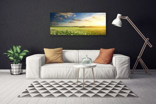 Tablou pe panza canvas Meadow Flori Peisaj Verde Alb