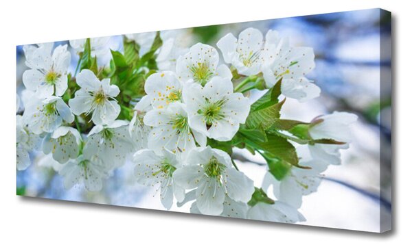 Tablou pe panza canvas Petale Floral Verde Alb
