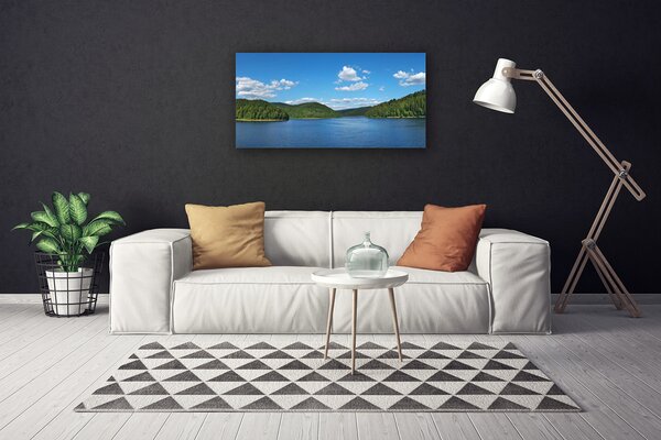 Tablou pe panza canvas Lake Forest Peisaj verde albastru