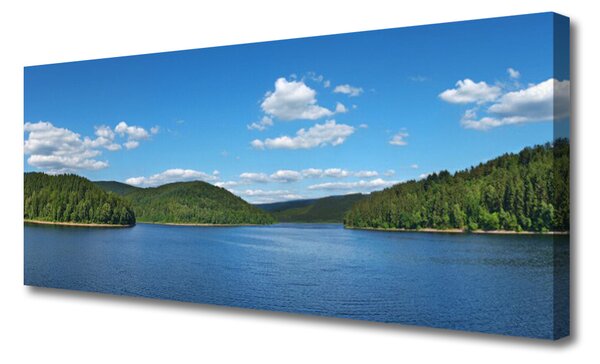 Tablou pe panza canvas Lake Forest Peisaj verde albastru