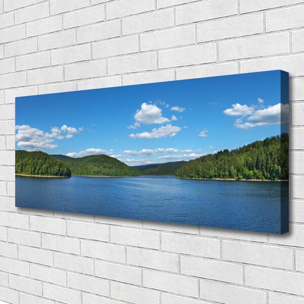 Tablou pe panza canvas Lake Forest Peisaj verde albastru