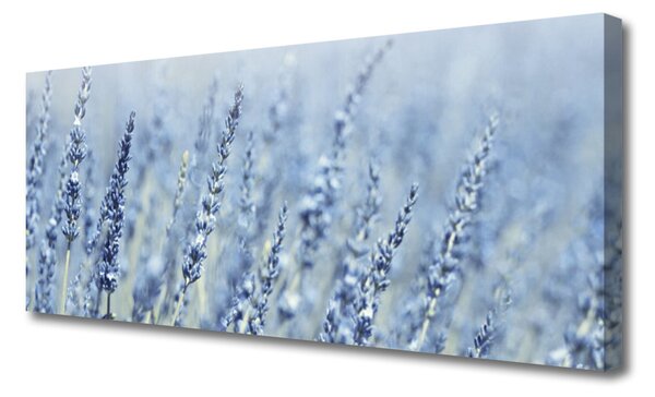 Tablou pe panza canvas Flori Floral violet