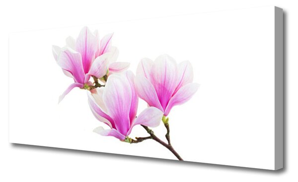 Tablou pe panza canvas Flori roz Floral