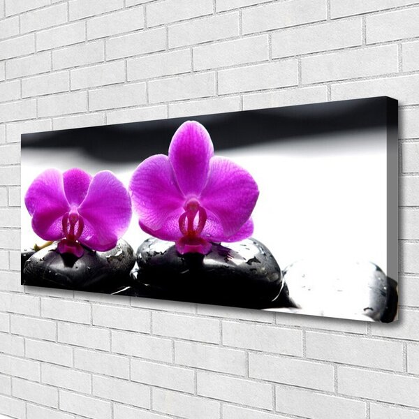Tablou pe panza canvas Pietrele florale flori roz negru