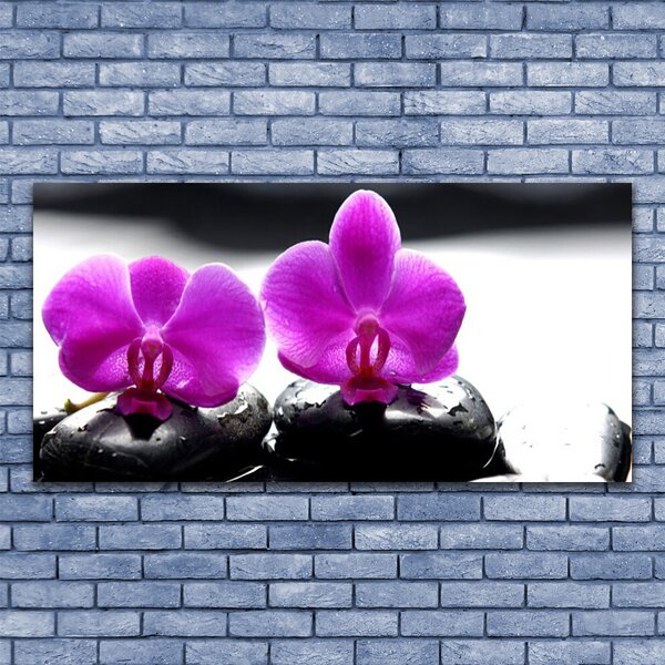 Tablou pe panza canvas Pietrele florale flori roz negru
