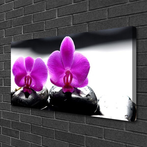 Tablou pe panza canvas Pietrele florale flori roz negru