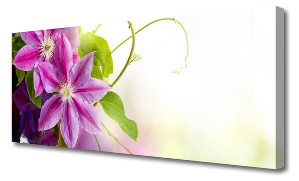 Tablou pe panza canvas Flori roz Floral
